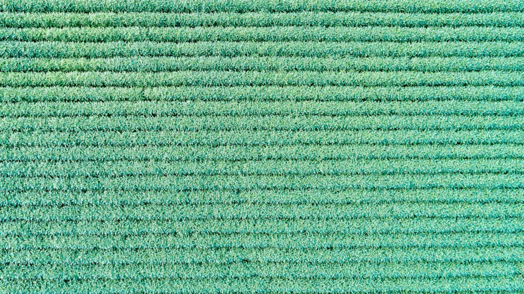 Agricultural Shade Net Overview
